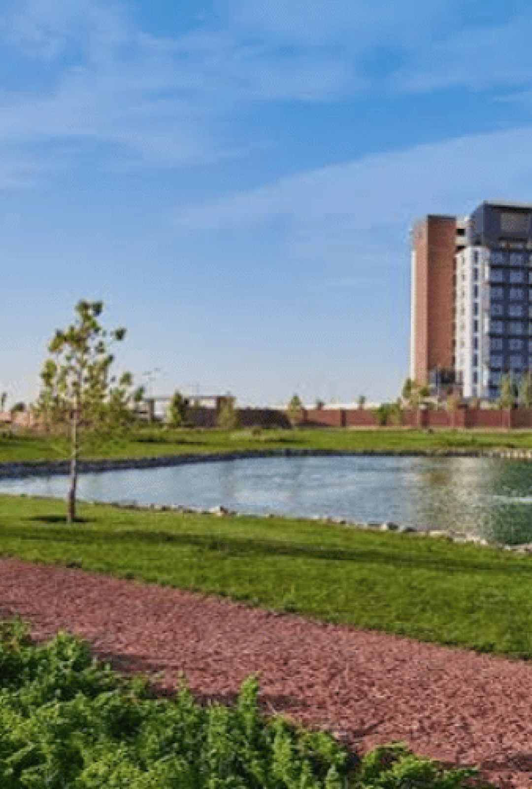 altozano-casas-en-venta-paseo-de-los-campos-altozano